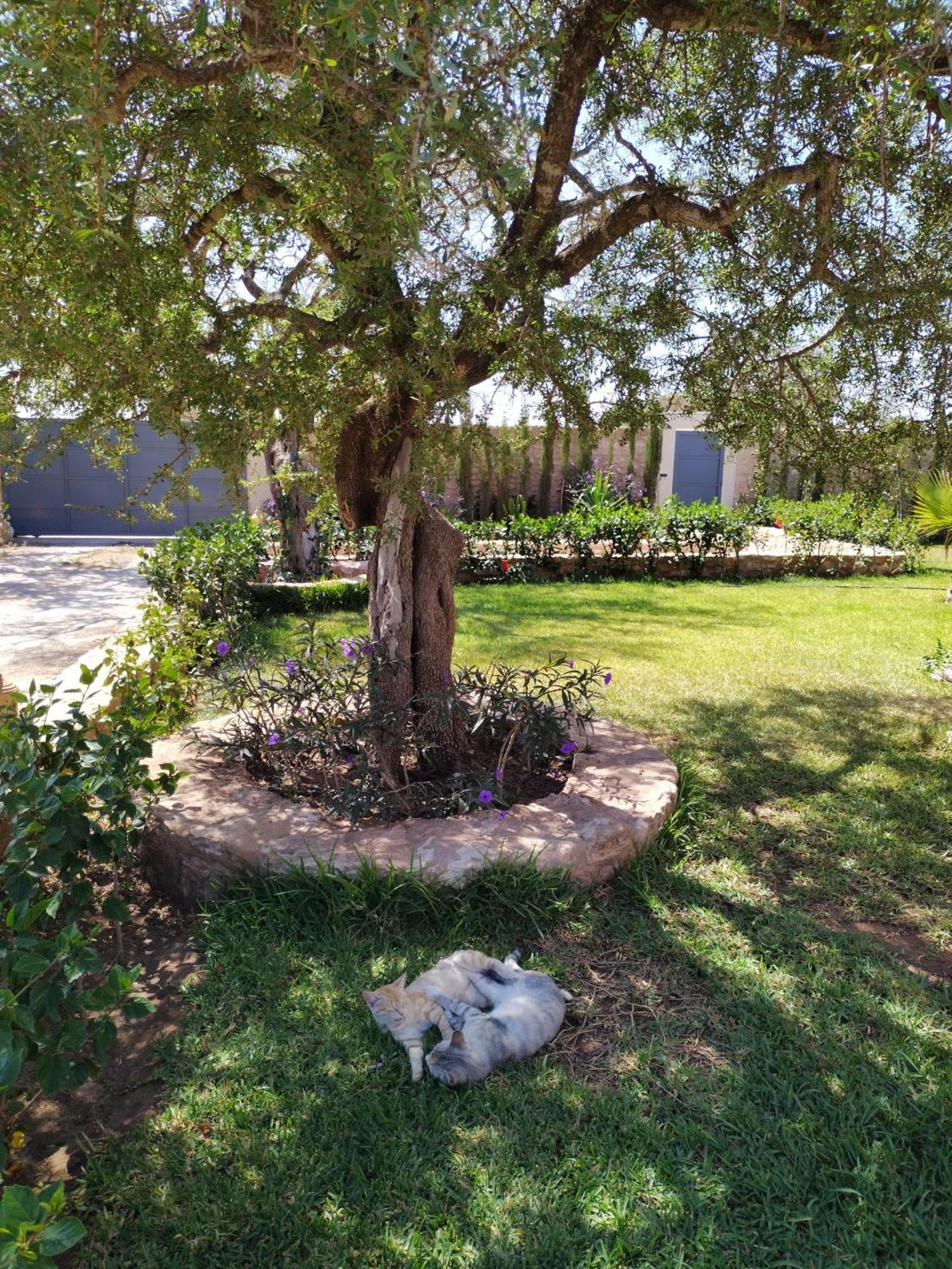 Villa Iyad Essaouira Exterior photo